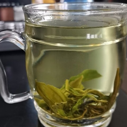 简装耐冲泡，板栗香茶叶，日照绿茶