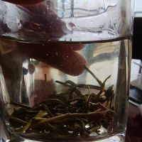 【买1发2罐】茉莉花茶2022新茶特级浓香型茶