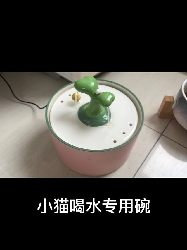 小猫喝流动水该用什么碗