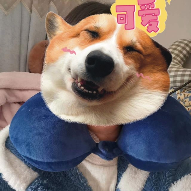 公司抽奖抽到的枕头