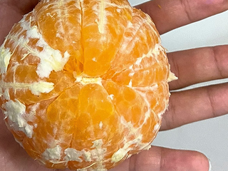 十年老树结的橙子