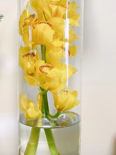 极简气质款玻璃花瓶，质感通透