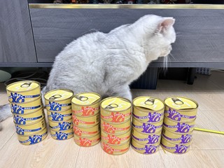让我看看还有谁家小猫咪没吃黄金罐呢