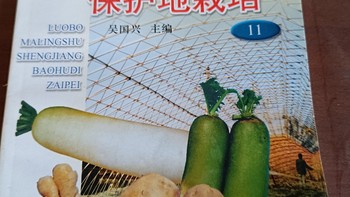 图书音像 篇十六：让小朋友了解常见蔬菜的种植生长：萝卜马铃薯生姜保护地栽培。
