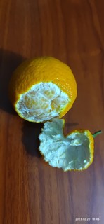 感谢值友爆料，在京东买到了如此新鲜的橘子