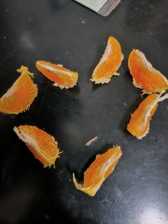 回忆学生时代的浪漫之简单橘子