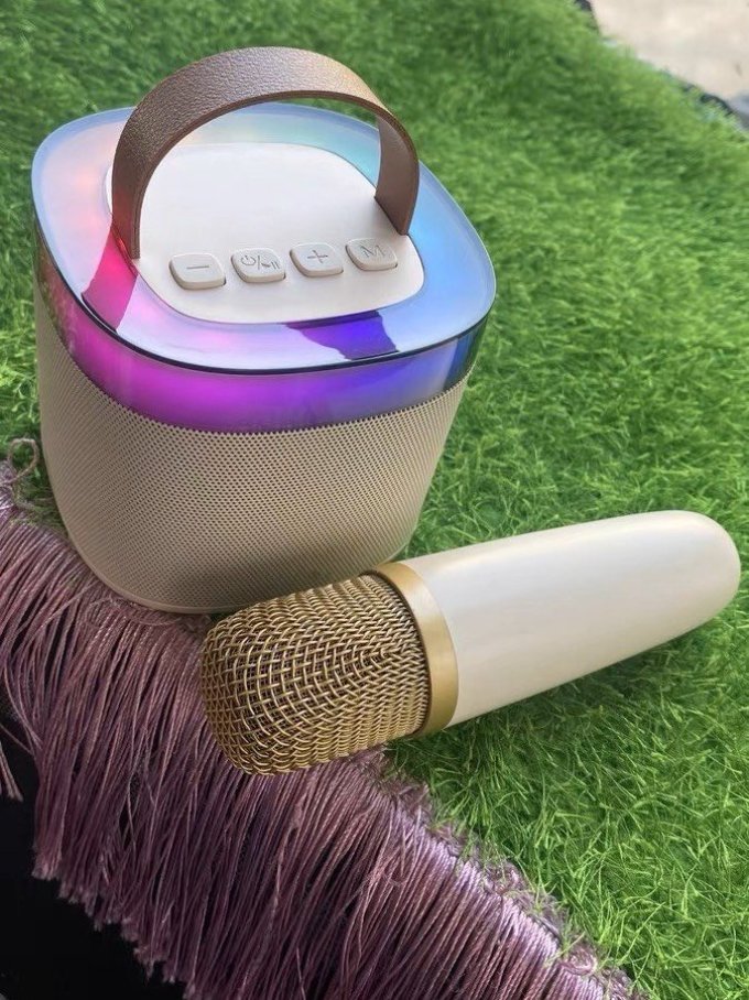 索爱麦克风怎么样 索爱sk2家用k歌唱歌话筒音响麦克风_什么值得买