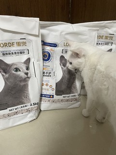 结团快的奶香味猫砂来啦！