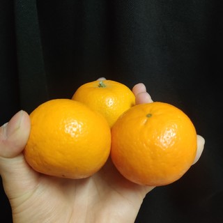 网上买的超新鲜橘子呀