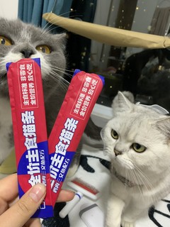 吉芙的主食猫条。听一听养猫大户怎么说