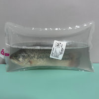 网上买到12.9一条的活鲈鱼，建议都去试试