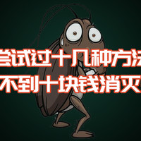 衣食住行专栏 篇一：广东的蟑螂到底有多猖狂？十几种方法全试过，最后一招解决！！！！
