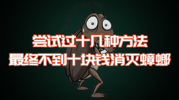 衣食住行专栏 篇一：广东的蟑螂到底有多猖狂？十几种方法全试过，最后一招解决！！！！ 