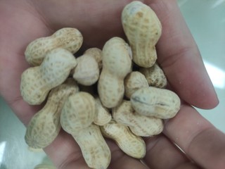 下酒小菜之蒜香花生🥜