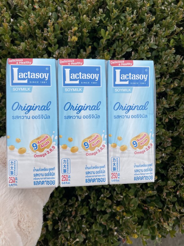 没有豆腥味的豆奶！狮大力豆奶