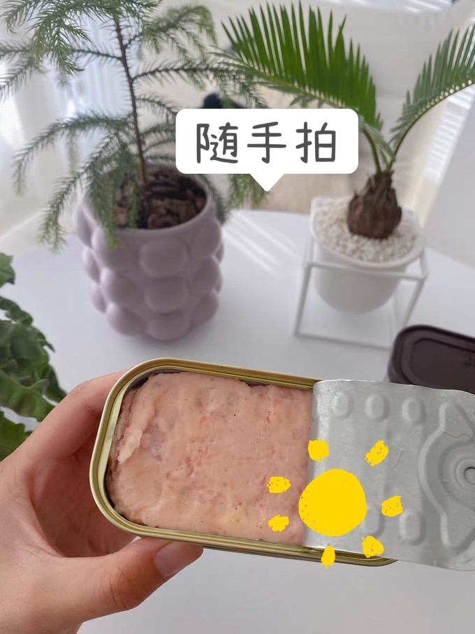 林家铺子肉类罐头