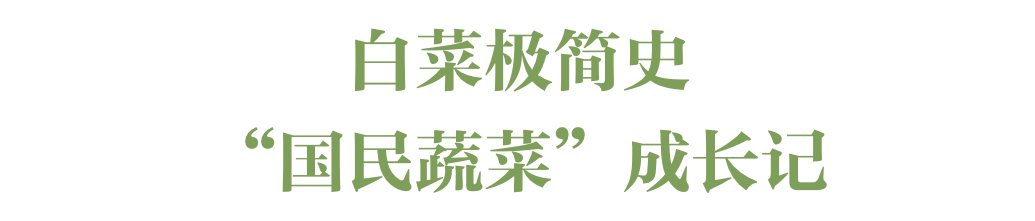 什么？这些也是白菜？