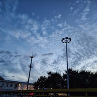 阳光总在风雨后