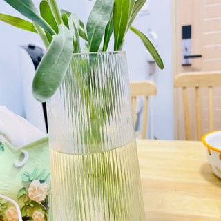 这种玻璃花瓶，简单又好看。
