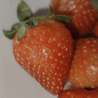 巨好吃巨甜的草莓🍓
