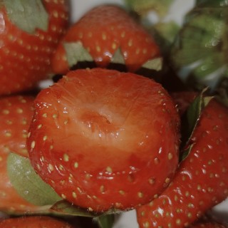 巨好吃巨甜的草莓🍓