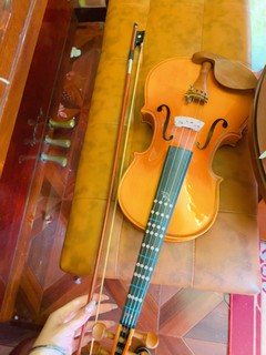 练习用的小提琴贵不贵呀？