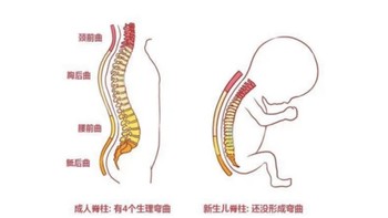 对于儿童枕头的选择，99%的家长都做错了