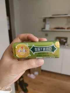 ​绿箭的无糖薄荷口香糖真是出行必备