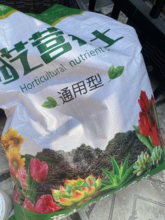 在家种植物的人就是一袋一袋往家里抗土！