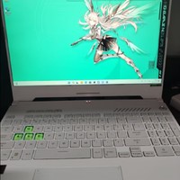 华硕（ASUS）天选4 锐龙版 15.6英寸高性能电竞游戏本 笔记本电脑(新R7-7735H 16G 512G RTX4060 144Hz高