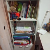一个适合孩子的小书柜