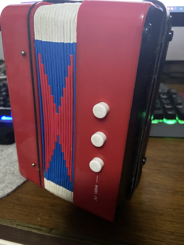 女儿的卡风琴，小小的身体