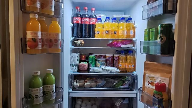 给大家看看我的冰箱
