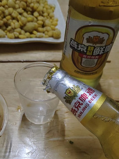 日常饮品，燕京啤酒🍻