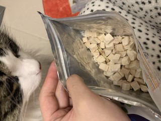 这个零食冻干猫猫吃了4包了