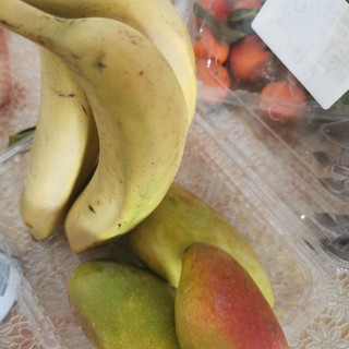 芒果熟了～香蕉也熟啦！