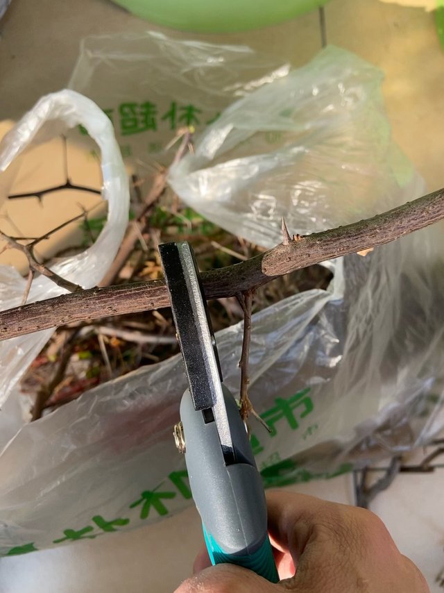 国产园艺剪刀表示不服