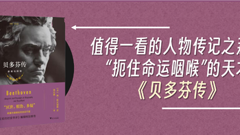 书籍—人物传记 篇十七：值得一看的人物传记之“扼住命运咽喉”的天才《贝多芬传》