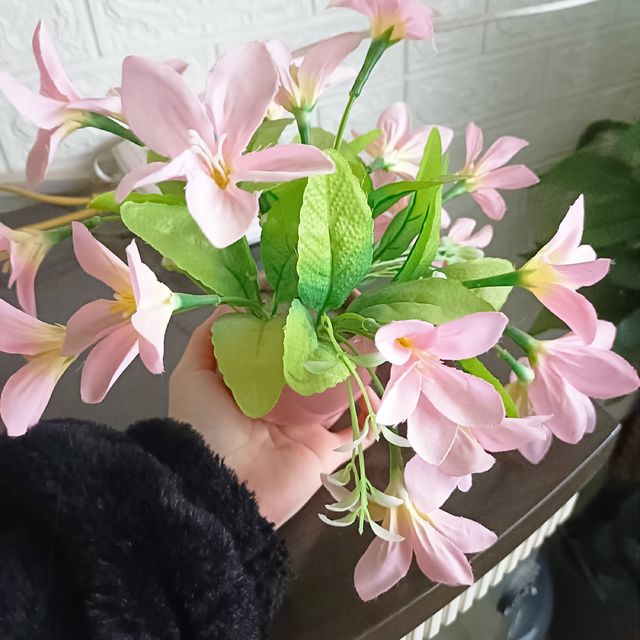 花🌸假，但是样子好看