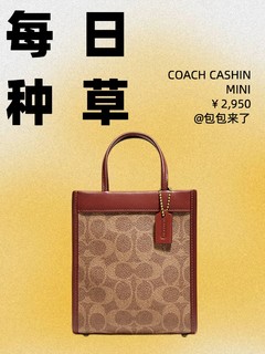 每天认识一只包｜COACH CASHIN 迷你琴谱包