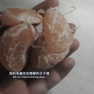 沙糖桔好吃但小心被刺