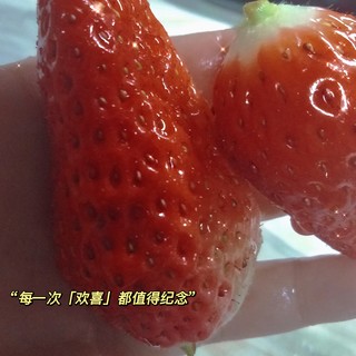 新鲜的草莓就是很好吃