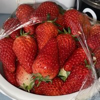 多吃水果补充维生素c特别是草莓🍓