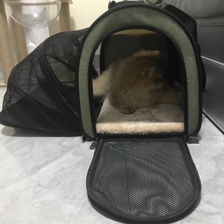 这款包包太适合小猫咪啦！
