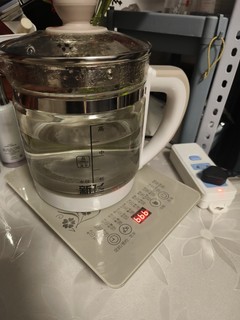 出租屋可烧水可煮蛋可泡花茶的养生壶