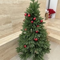 去年的圣诞树 今年放着还是毫无违和感
