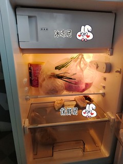 租房/家用高颜值小冰箱