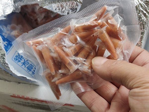 孵化丰年虾卵养小鱼苗，真不错