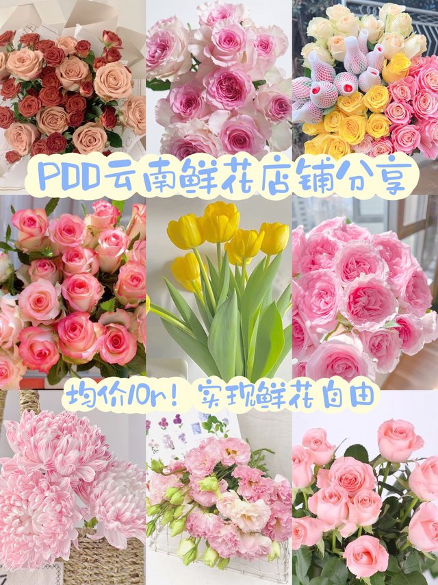 Pdd云南鲜花店铺分享
