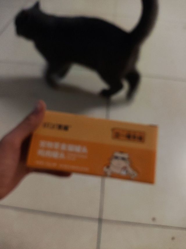 宠物罐头，猫零食